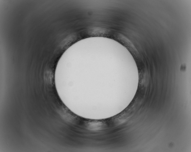 X0000101220669200807251113