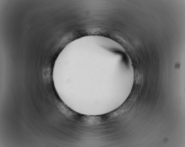 X0000101220670200807251113