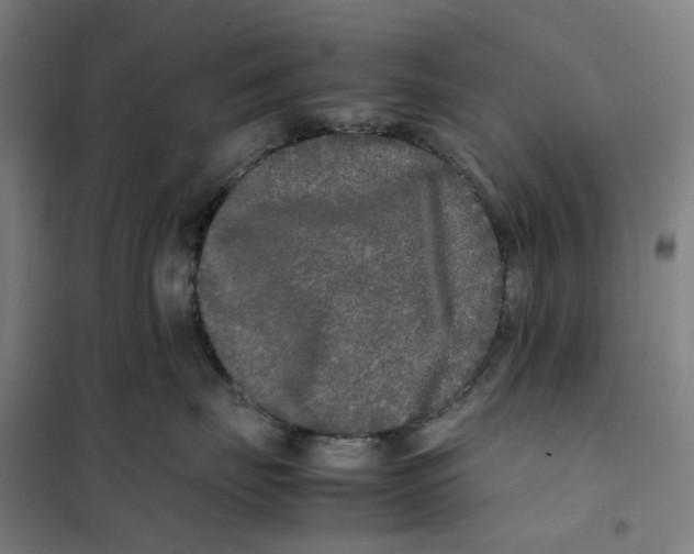 X0000101220671200807251113