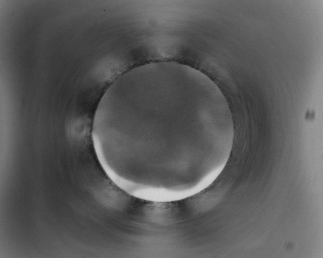 X0000101220672200807251113