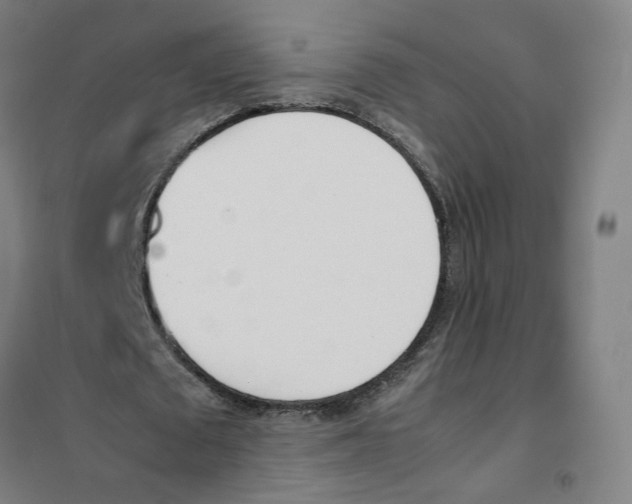 X0000101220673200807251112