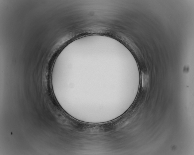 X0000101220675200807251112