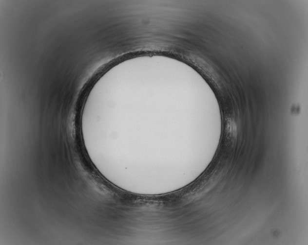 X0000101220676200807251112