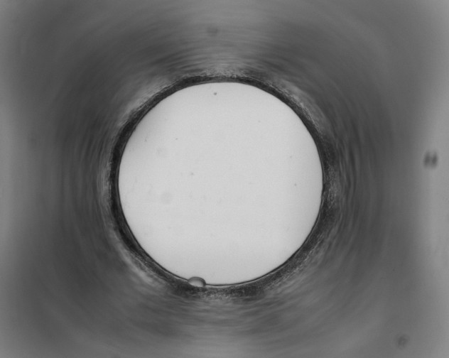 X0000101220677200807251112