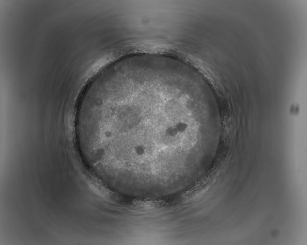 X0000101220679200807251112