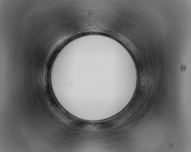 X0000101220680200807251112