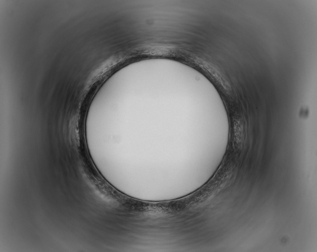 X0000101220682200807251112