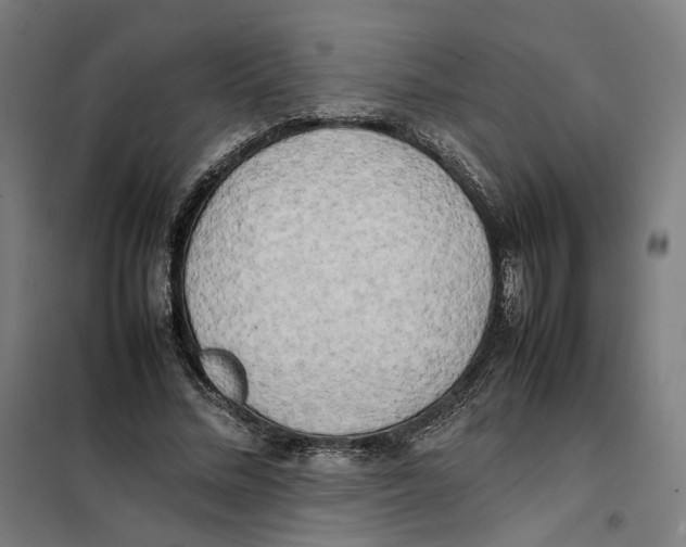 X0000101220684200807251112