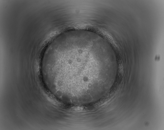 X0000101220687200807251112