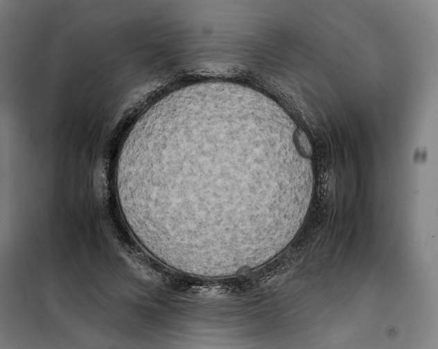 X0000101220688200807251112