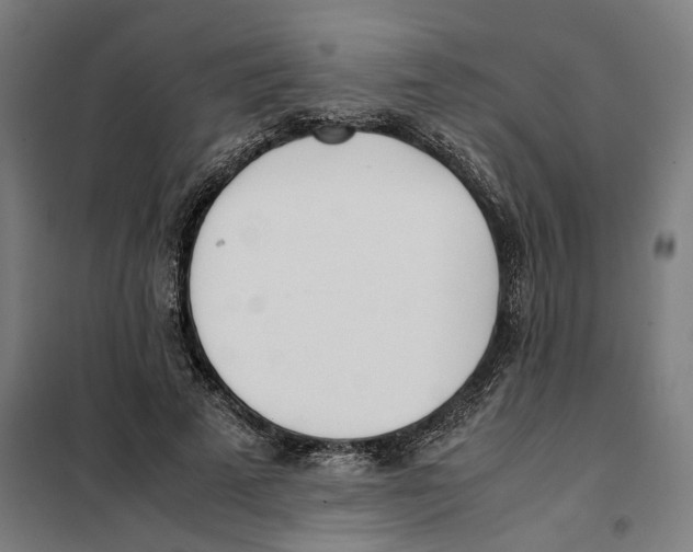 X0000101220689200807251112