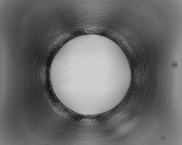 X0000101220690200807251112