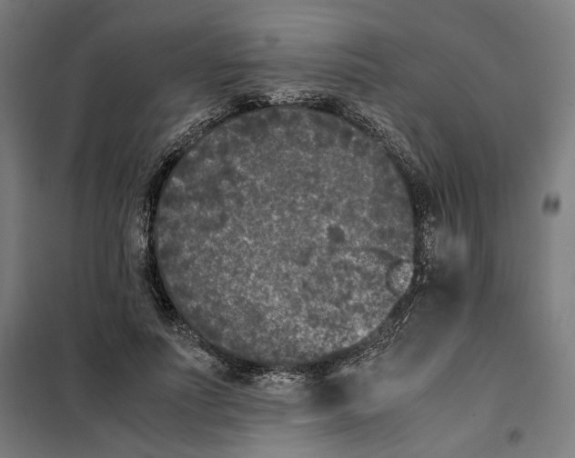 X0000101220691200807251112