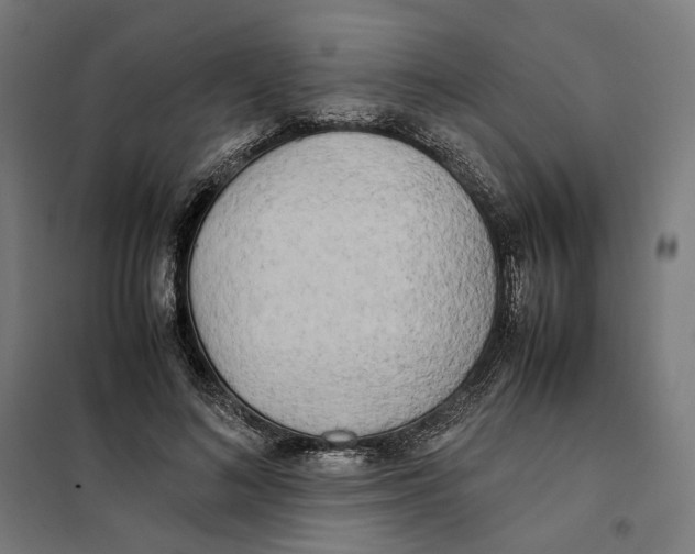 X0000101220692200807251112