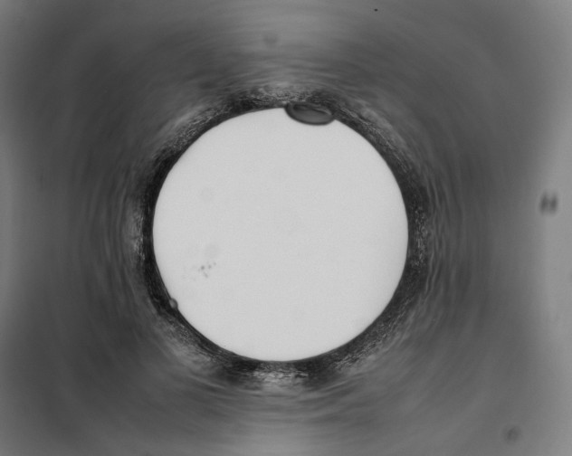 X0000101220693200807251112