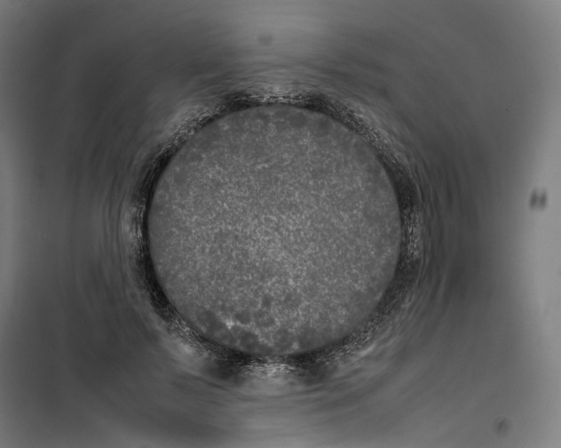 X0000101220695200807251112