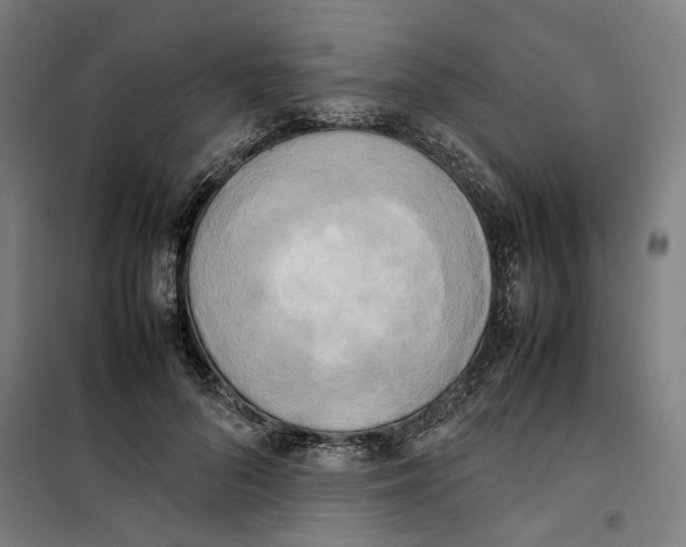 X0000101220696200807251112