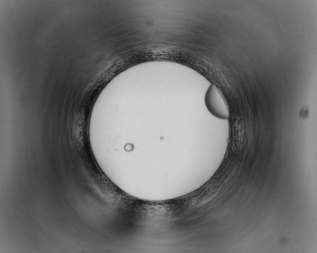 X0000101220698200807251112