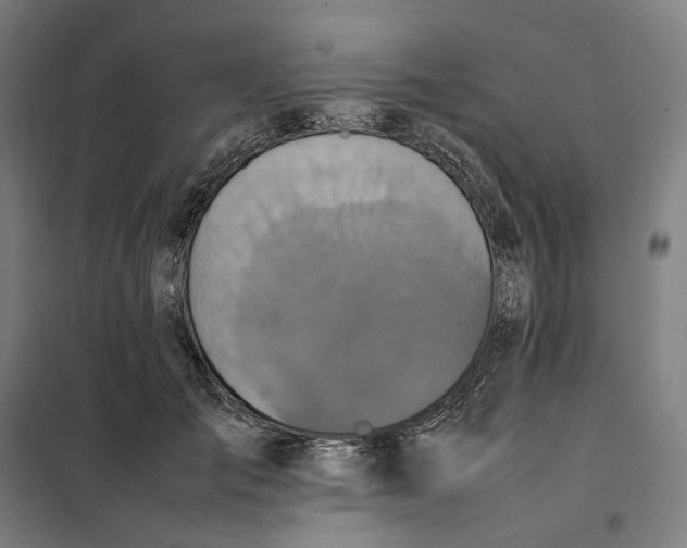 X0000101220701200807251112