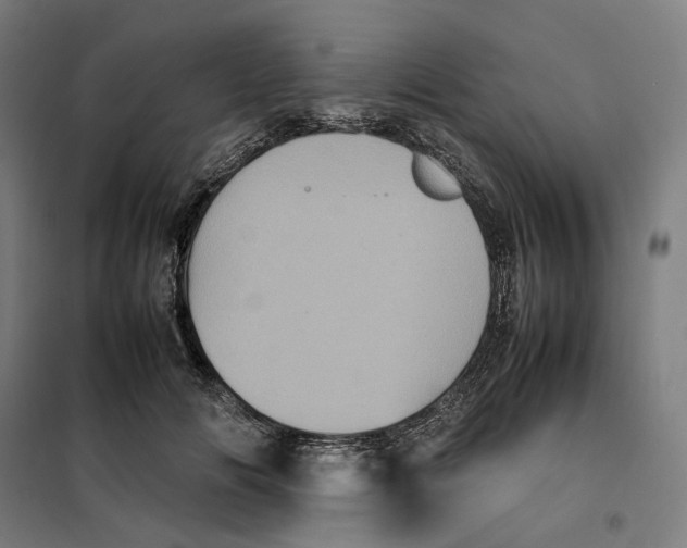 X0000101220702200807251112