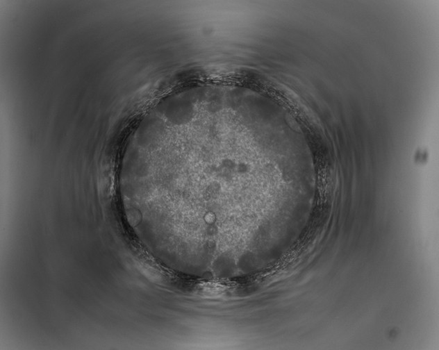 X0000101220703200807251112