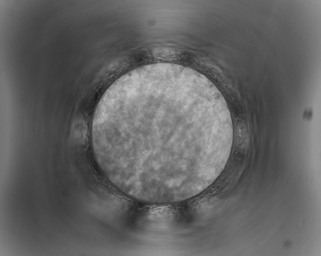 X0000101220705200807251111