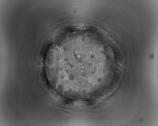 X0000101220707200807251111
