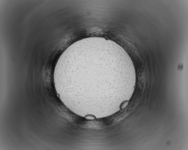 X0000101220708200807251111