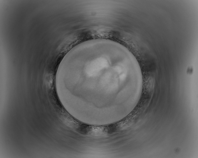 X0000101220709200807251111