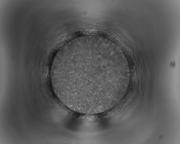 X0000101220711200807251111