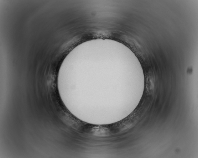 X0000101220714200807251111