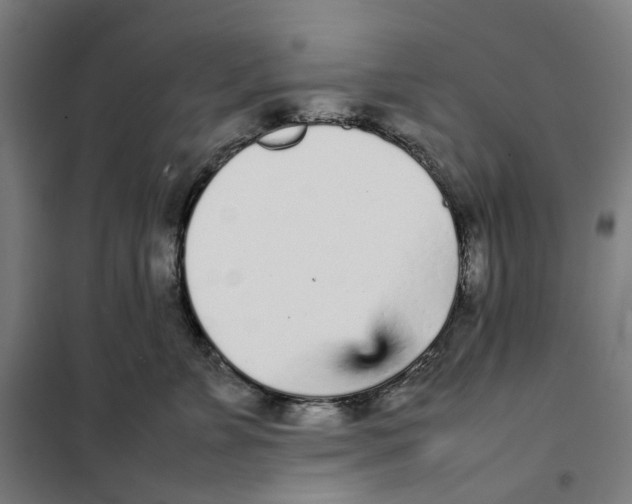 X0000101220715200807251111