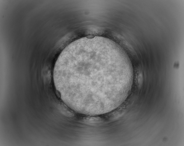 X0000101220716200807251111