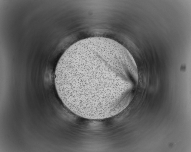 X0000101220718200807251111