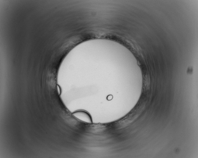 X0000101220719200807251111