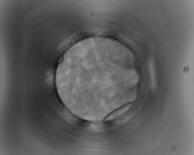 X0000101220720200807251111