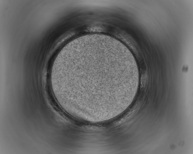 X0000101220722200807251110