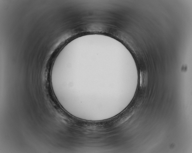 X0000101220723200807251110