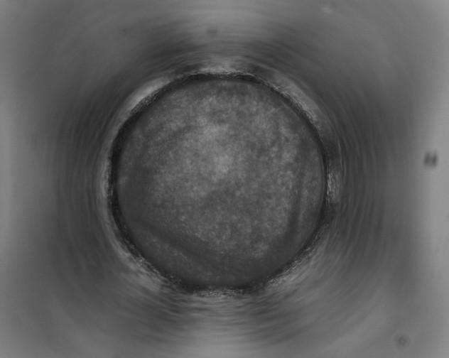 X0000101220724200807251110