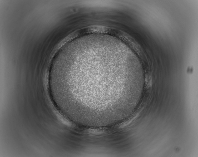 X0000101220725200807251111