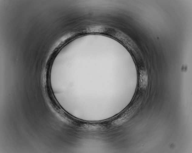 X0000101220726200807251111