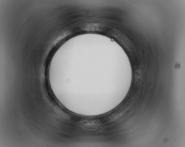 X0000101220727200807251111