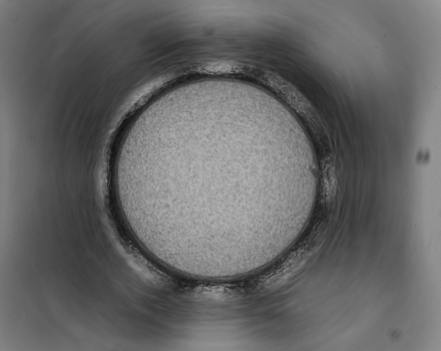 X0000101220728200807251111