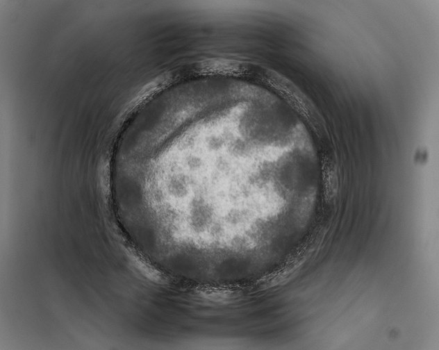 X0000101220729200807251111
