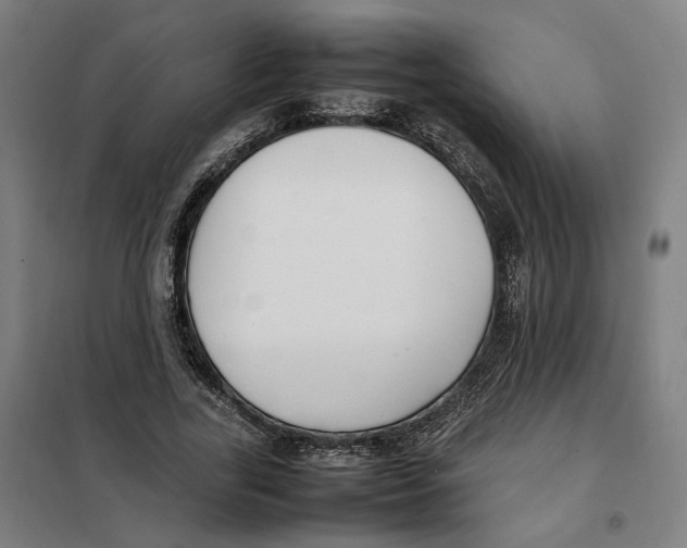 X0000101220731200807251111