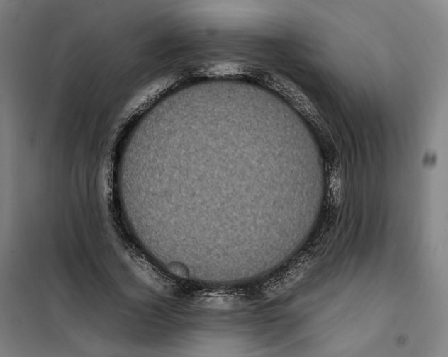 X0000101220732200807251111