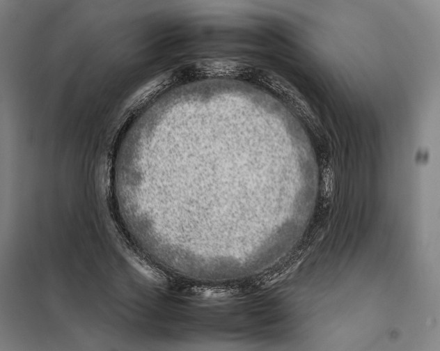 X0000101220733200807251111