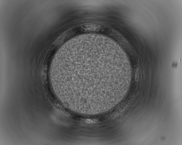 X0000101220737200807251111