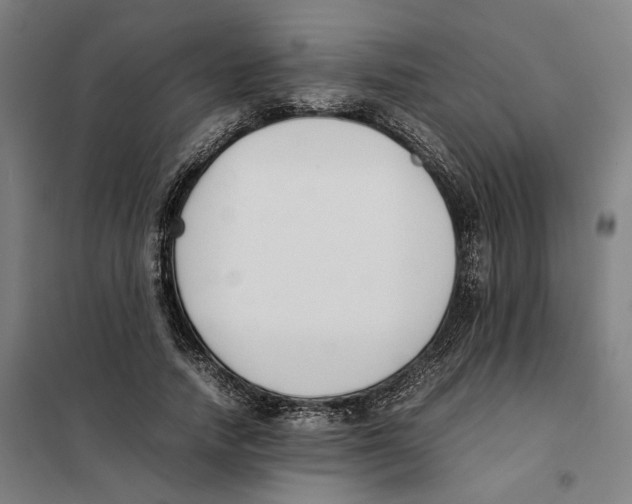 X0000101220738200807251111