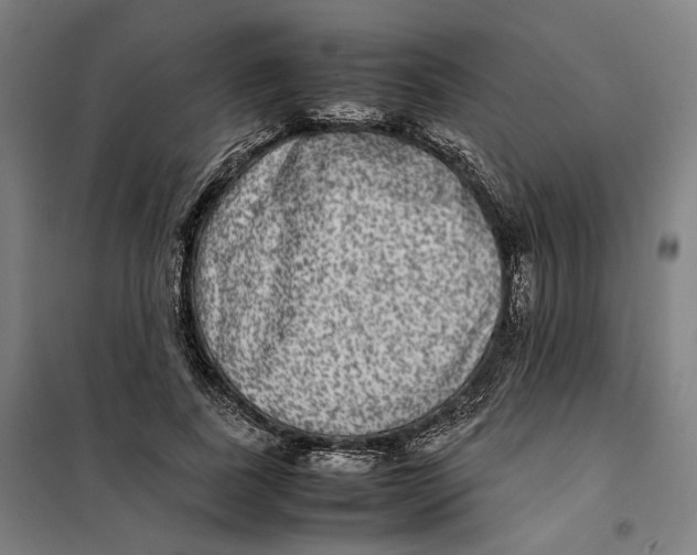 X0000101220739200807251111
